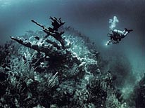 personal cayman islands, underwater photography