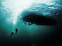 personal cayman islands, underwater photography