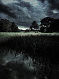 personal iphoneonly photography