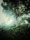 personal iphoneonly photography