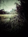 personal iphoneonly photography
