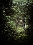 personal iphoneonly photography