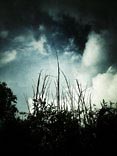 personal iphoneonly photography