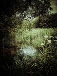 personal iphoneonly photography