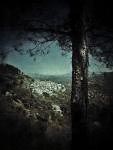 personal iphoneonly photography