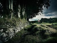 commissioned landscapes photography