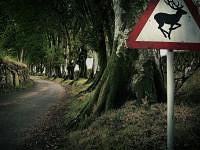 commissioned landscapes photography