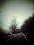 personal iphoneonly photography