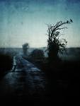 personal iphoneonly photography