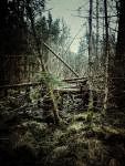 personal iphoneonly photography
