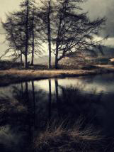 personal iphoneonly photography