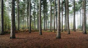 commissioned landscapes photography