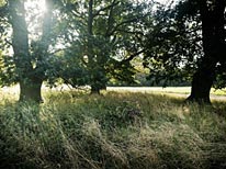 commissioned landscapes photography