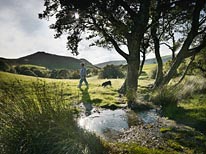 commissioned landscapes photography